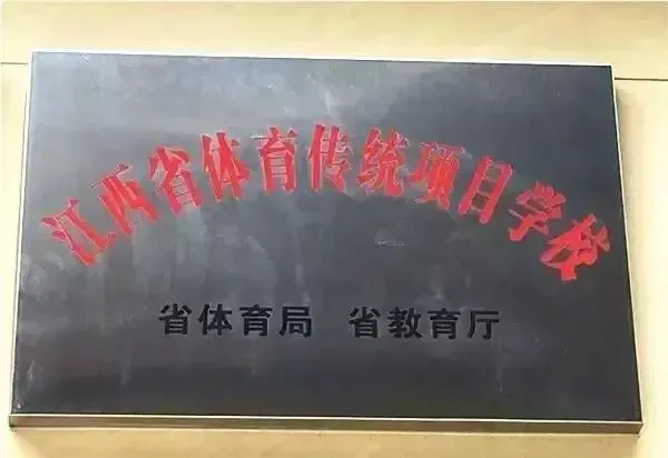 为什么篮球技术训练对球员发展如此重要_2